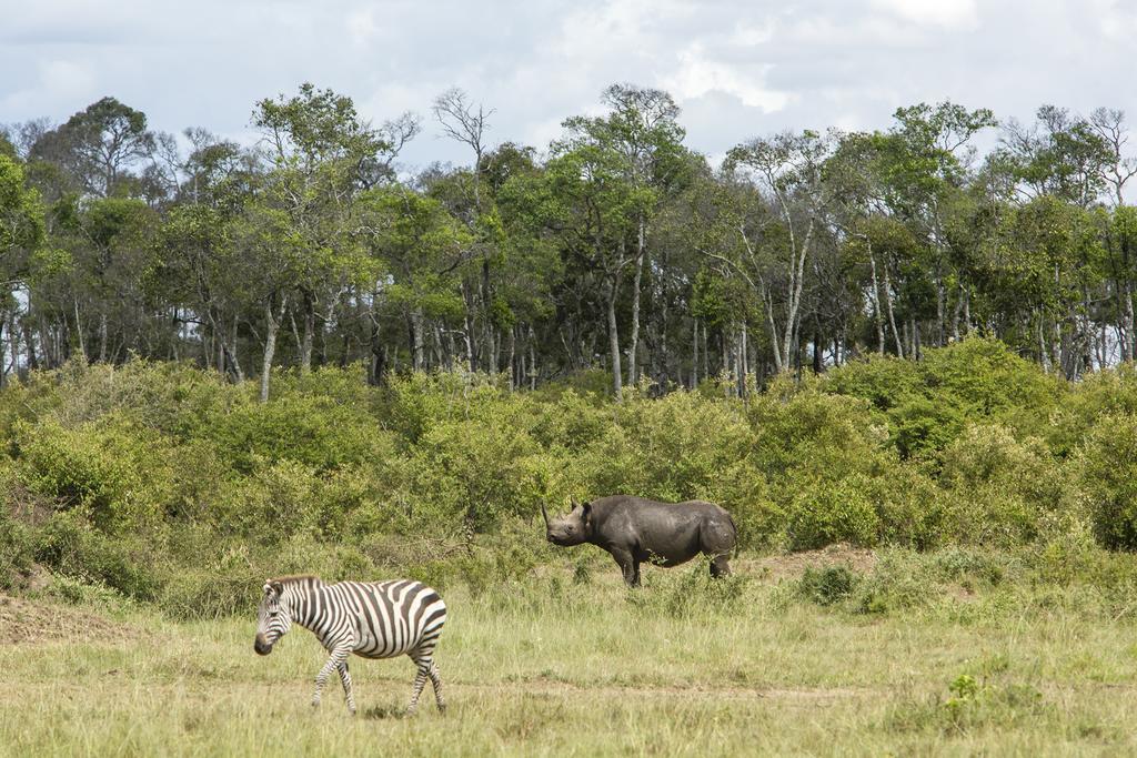 Mara Engai Lodge Lolgorien Exteriör bild