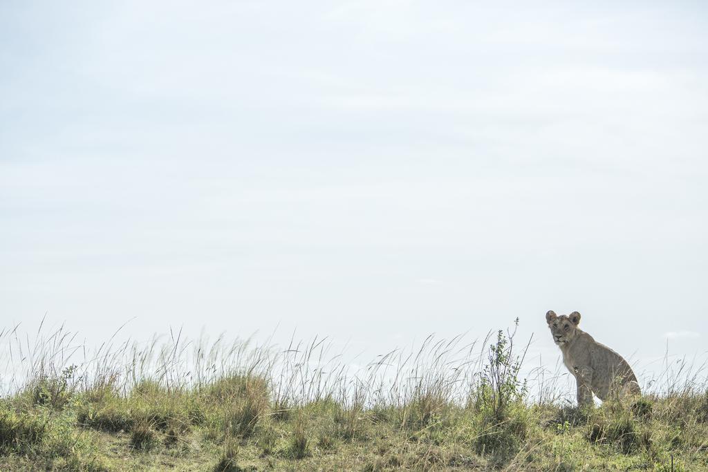Mara Engai Lodge Lolgorien Exteriör bild