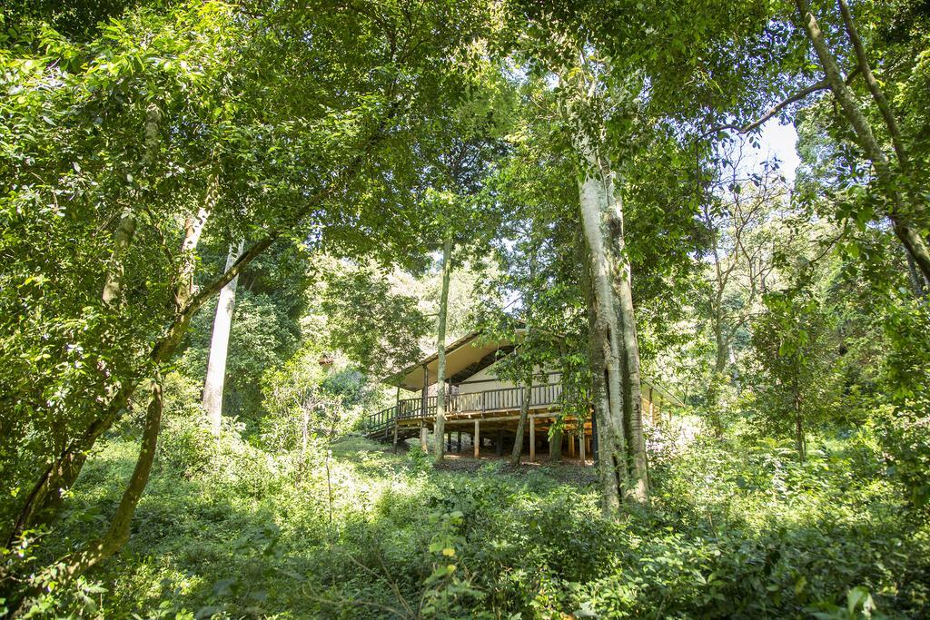 Mara Engai Lodge Lolgorien Exteriör bild